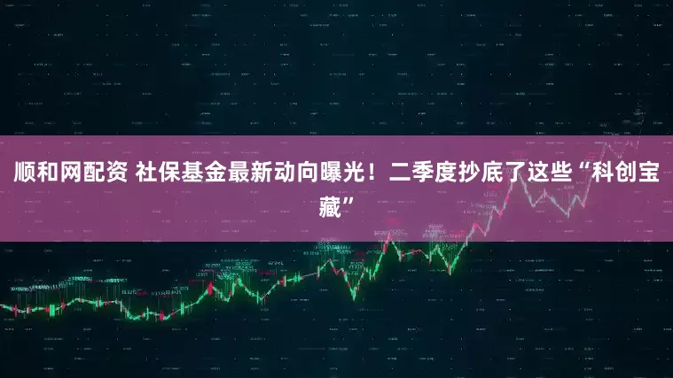 顺和网配资 社保基金最新动向曝光！二季度抄底了这些“科创宝藏”